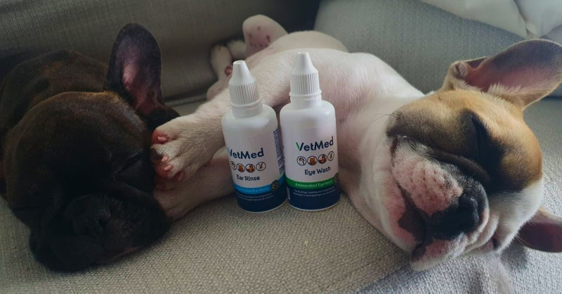 10 Reasons You Should Be Using VetMed