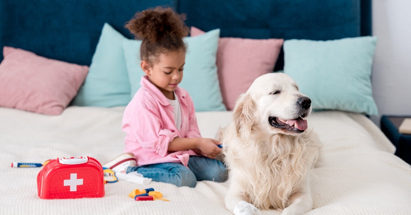 Hypochlorous Acid | Non-toxic | Safe for animals during all stages of life even during pregnancy | HOCl | VetMed