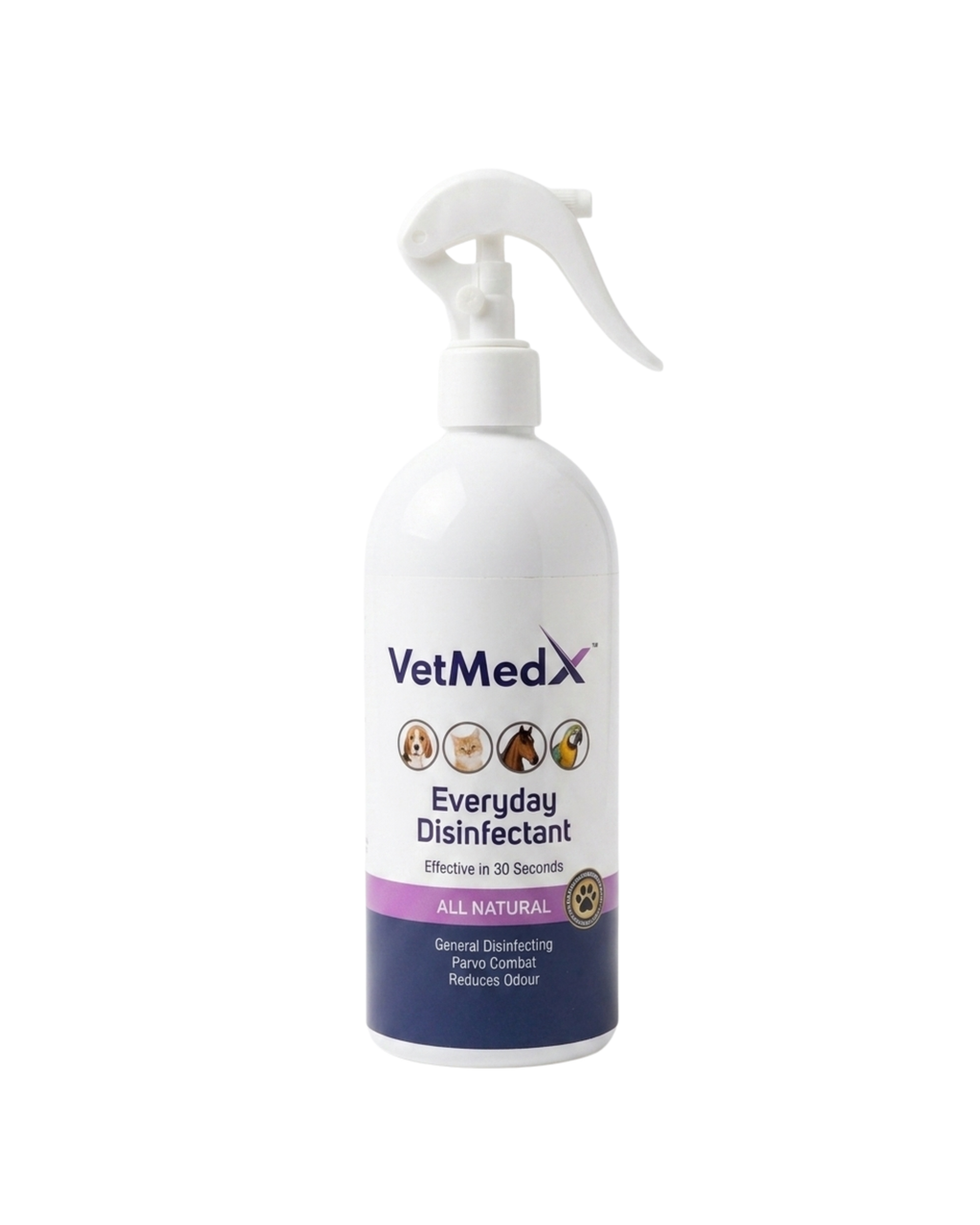 Everyday Disinfectant