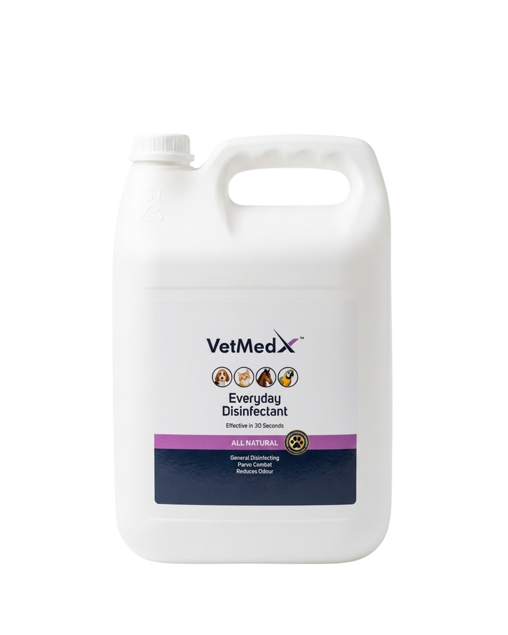 Everyday Disinfectant