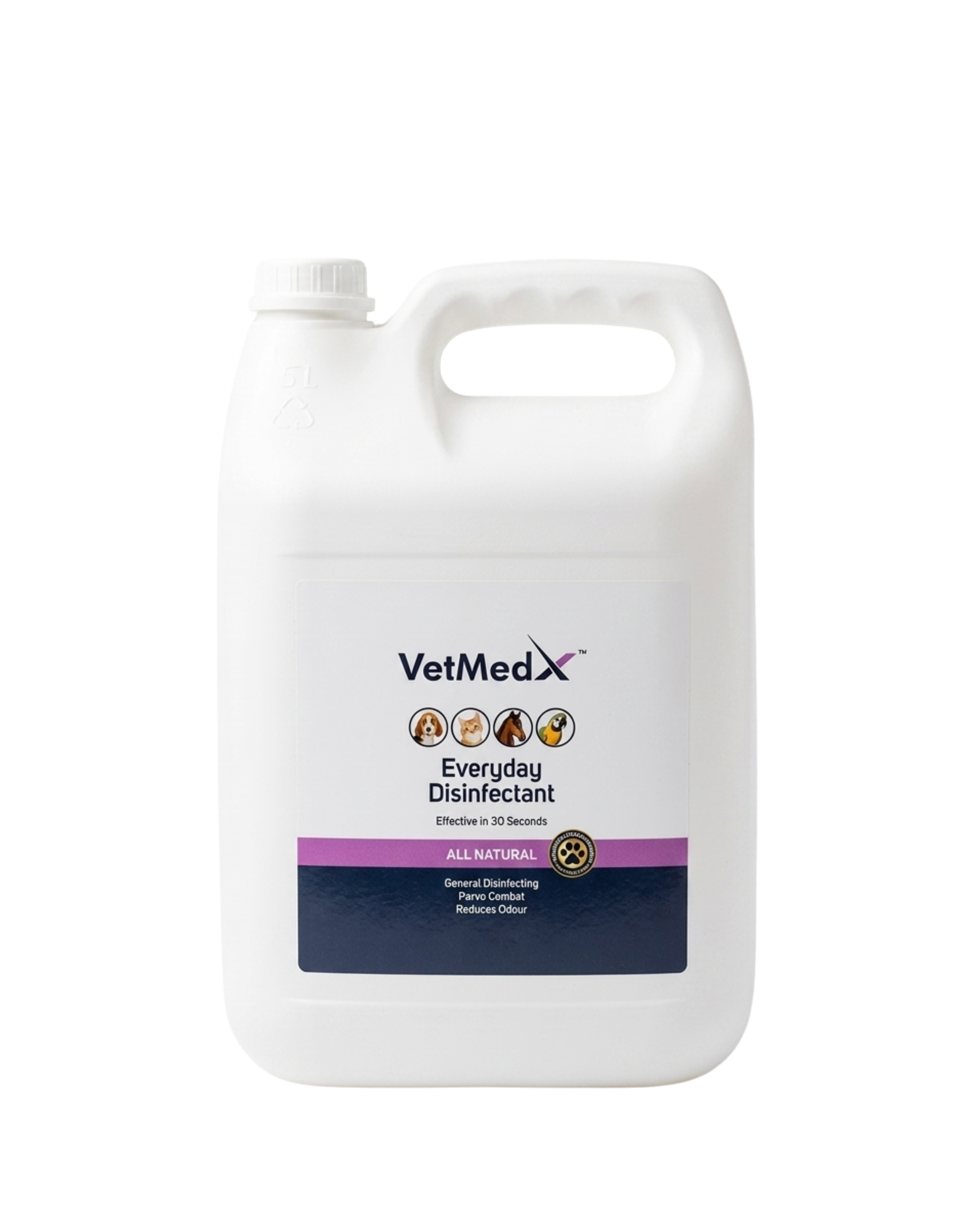 Everyday Disinfectant