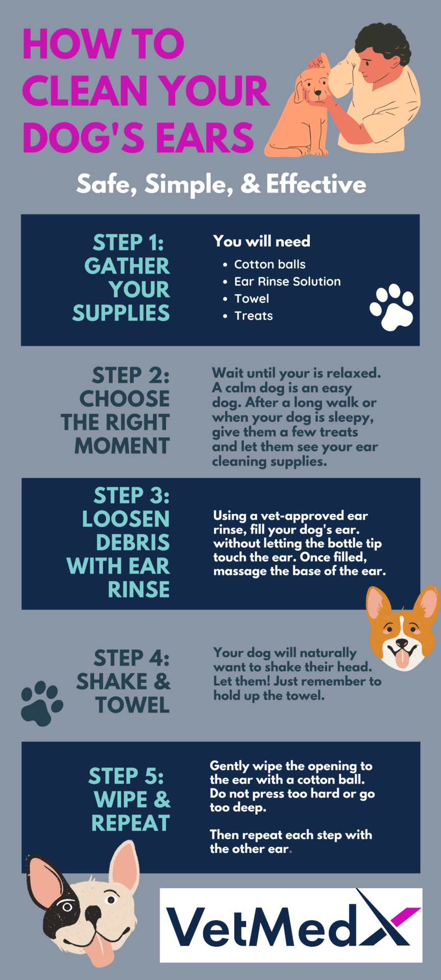 What to clean hot sale dog's ears with